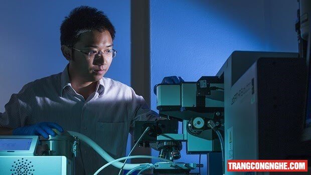 Vietnamese scientist in Australia honoured with science-technology prize